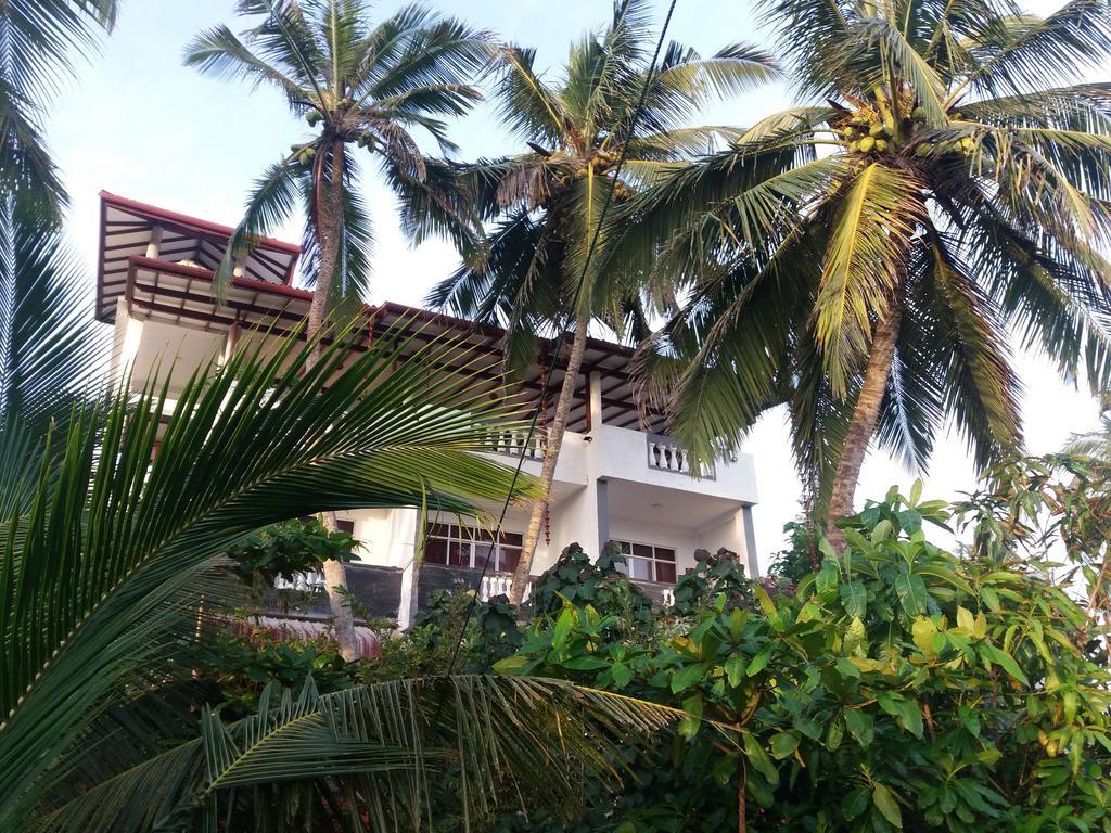 Peacock Wings Guest Hotel Mirissa Exterior photo