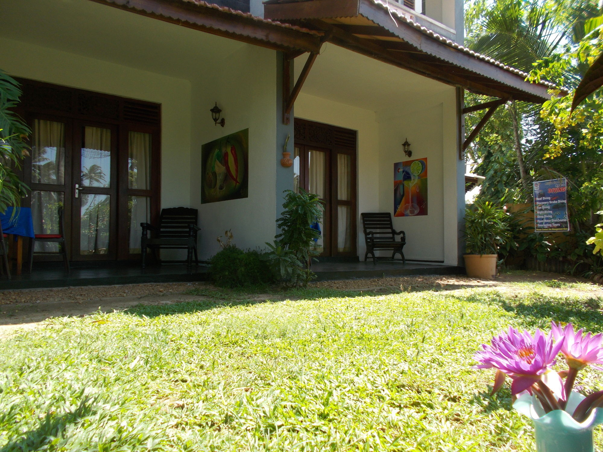 Peacock Wings Guest Hotel Mirissa Exterior photo